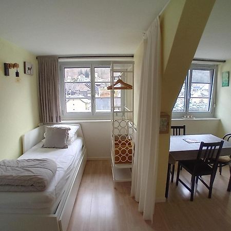 Chalet Bruyere Cauterets Dış mekan fotoğraf